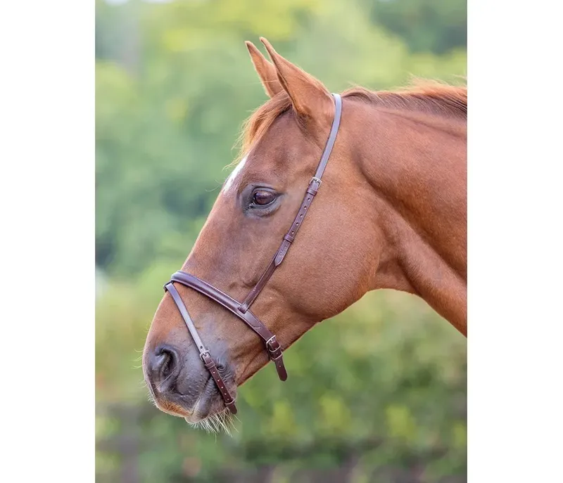 Velociti GARA Flash Noseband in Havana